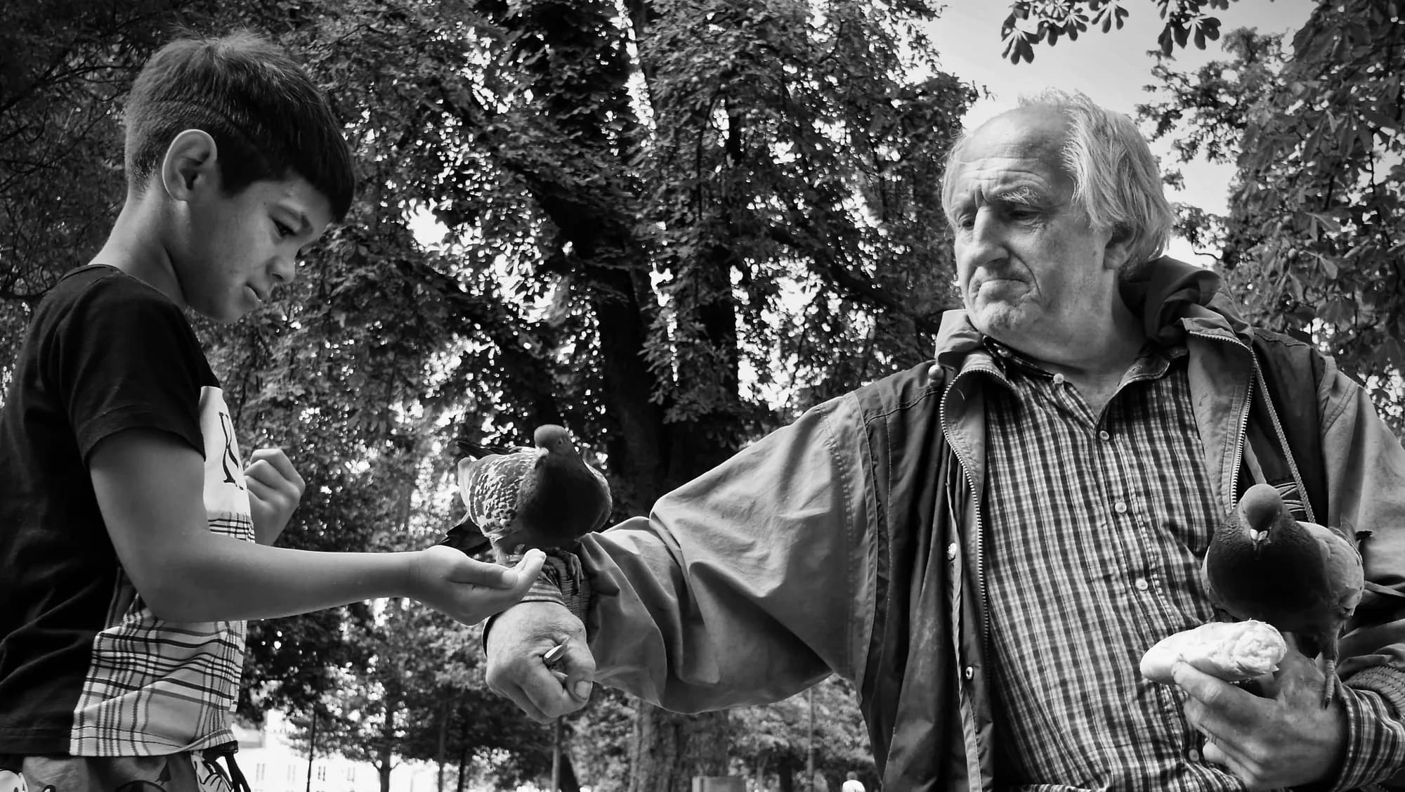 Chlapec a starší muž krmící holuby v parku